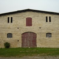 DSC03020